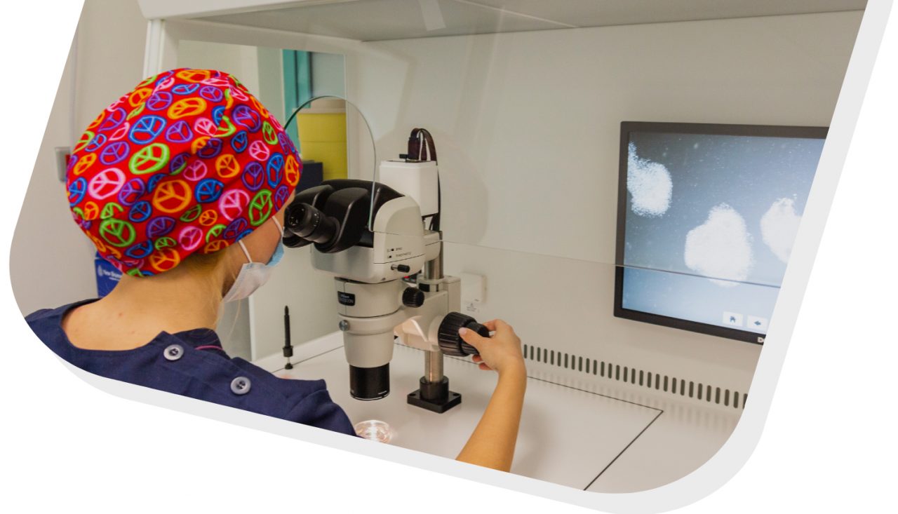 Egg Donation IVFSERUM Advanced IVF Treatment Center Greece