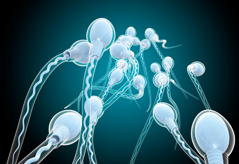 General information about semen characteristics IVFSERUM Advanced