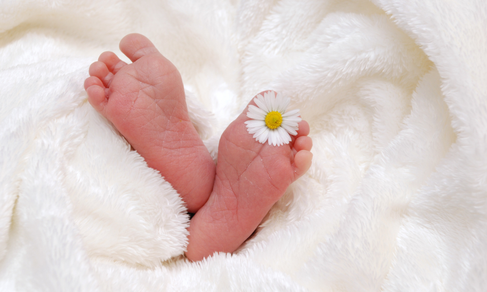 IVF Guide 2025